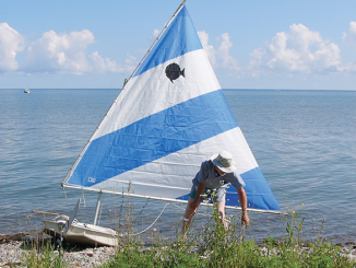 Sunfish sail