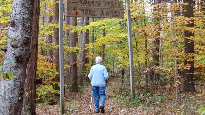 Beaver Beaver Lake Nature Center, Baldwinsville. Photo by Sandra Scott.