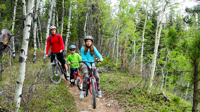 Mountain-Biking-2---GettyImages-932451134 Beaver Lake Nature Center in Baldwinsville features a bird and wildlife observatory room that overlooks the forest. From there, people can observe some of the 200 species of birds.