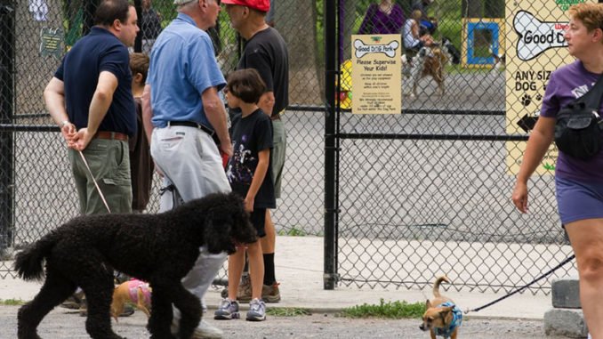 Wegmans-Good-Dog-Park Wegman Good Dog Parl in Liverpool.